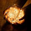 2M 5M 10M Battery Box LED Fairy String Lights Flexible Copper Wire for Christmas Wedding Anniversary Decor