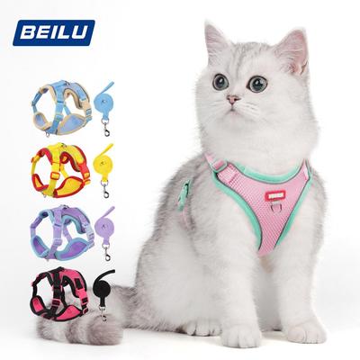 Cani – Collari e guinzagli per cani