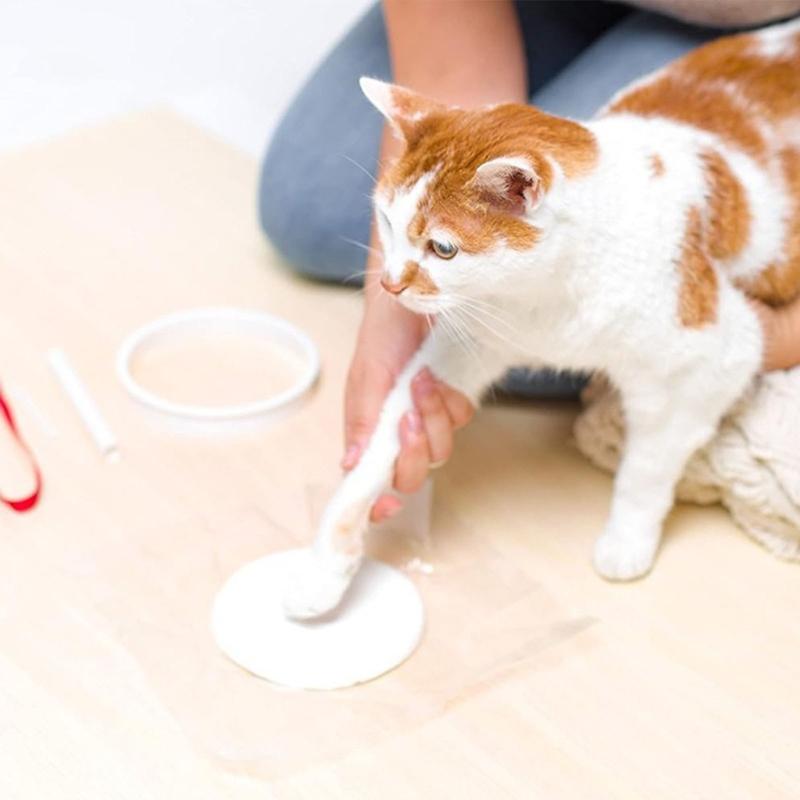 Pet Pawprints Preserve Your Pet Pawprints in a Beautiful Display Stand with This Simple DIY Set