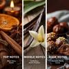 Monarch | Chocolate Musky Spray | Unisex Perfume | Powerful Notes of Chocolate & Amber |