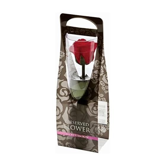 Flor Ever Preserved Flower Short Stem Rose Cherry Red Approx. Flower Diameter 3.5~5 x L20cm FL000072-005