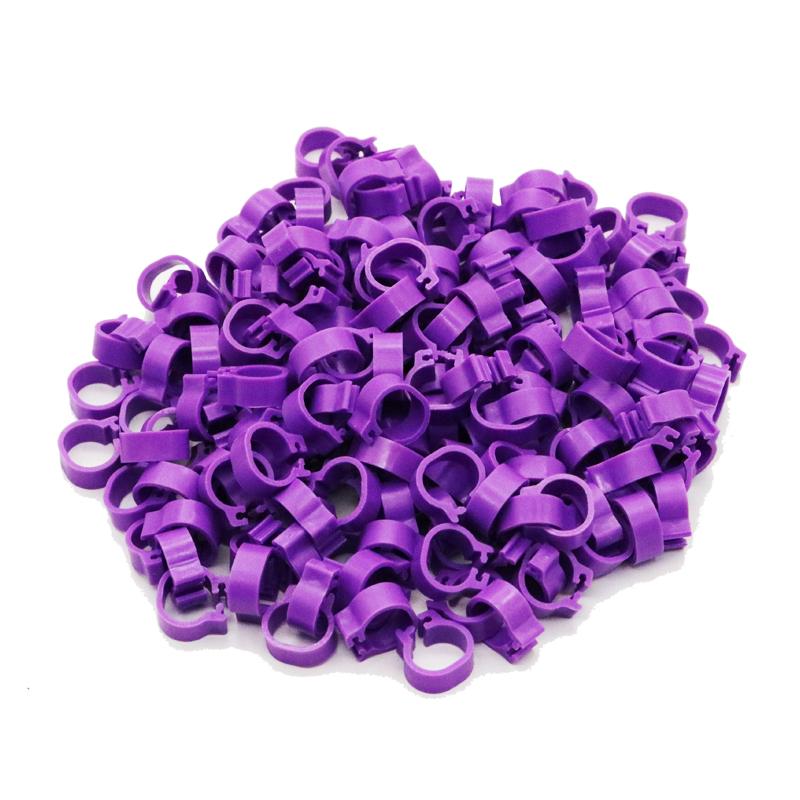 200 Pcs Inner Diameter 8mm Bird Foot Ring Dove Pigeon Parrot Leg Rings Small Birds Foot Ring Bird Clip Ring 10 Colors