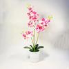 Phalaenopsis Potted Plant Ornament For Office Desk And Living Room Decor