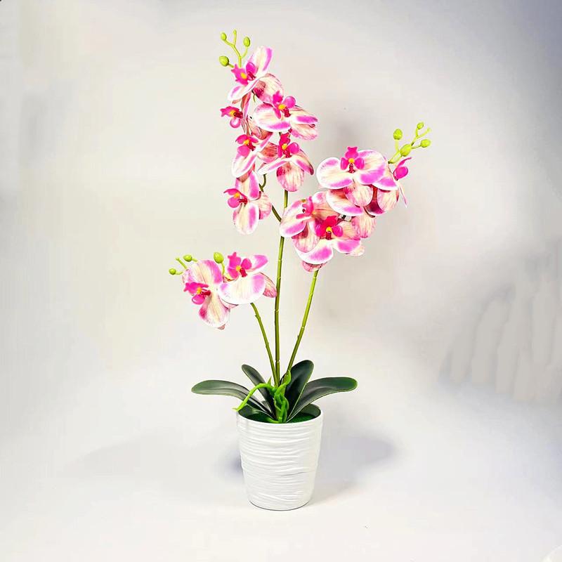 Phalaenopsis Potted Plant Ornament For Office Desk And Living Room Decor