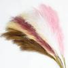 5pcs Extra Large Pampas Grass Stem 120cm Artificial Silk Flower Fluffy Faux Reed Boho Home Wedding Decoration