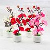 1PC Simulation Ornament Potted Plants Decoration Bonsai Adorn Wintersweet Plastic Moss Elegant Artificial Flowers