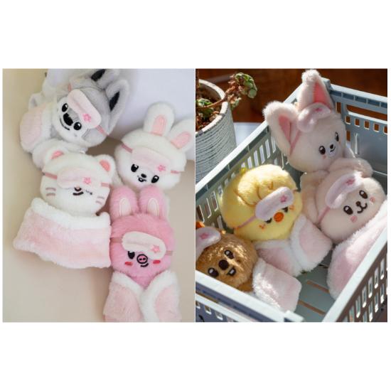 Skzoo Plush 10cm - Stay in Our House