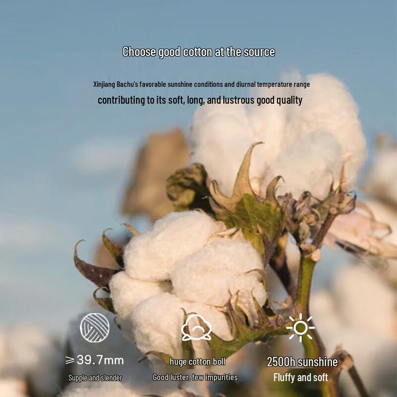 Ran Brand Xinjiang Cotton Comforter