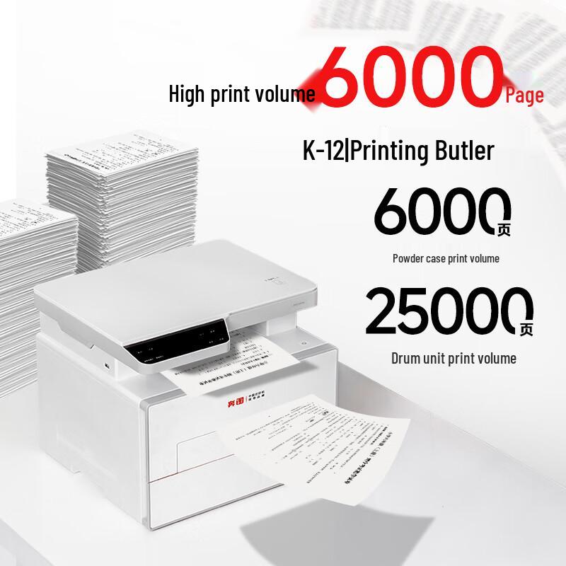 Pantum D1 Series Monochrome Laser Multifunction Printer CN plug (adapter included)