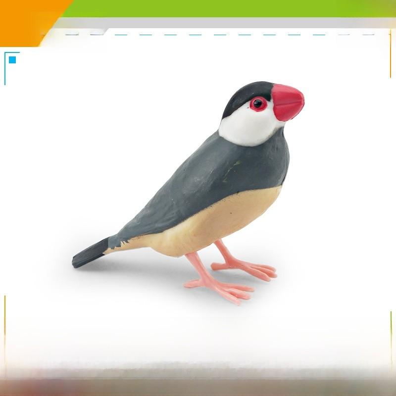 

Realistic Bird Models Pvc Garden Decor Collection With Magpie Parrots And Owl Animal Figurines For Landscaping And Home Decoration