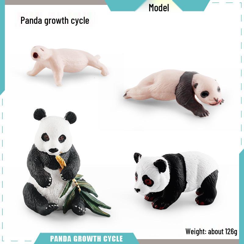 Animal Growth Cycle Models: Chicken, Duck, Goose, Butterfly, Turtle, Frog Montessori Teaching Figurines