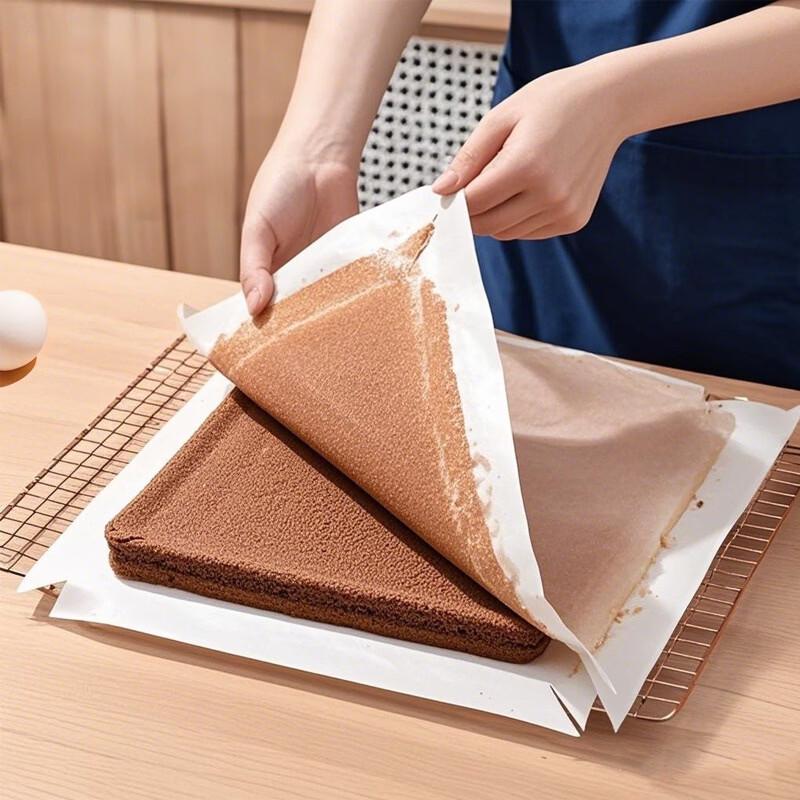 Diorain Non-Stick Baking Parchment Paper, 2 Rolls x 50 Sheets