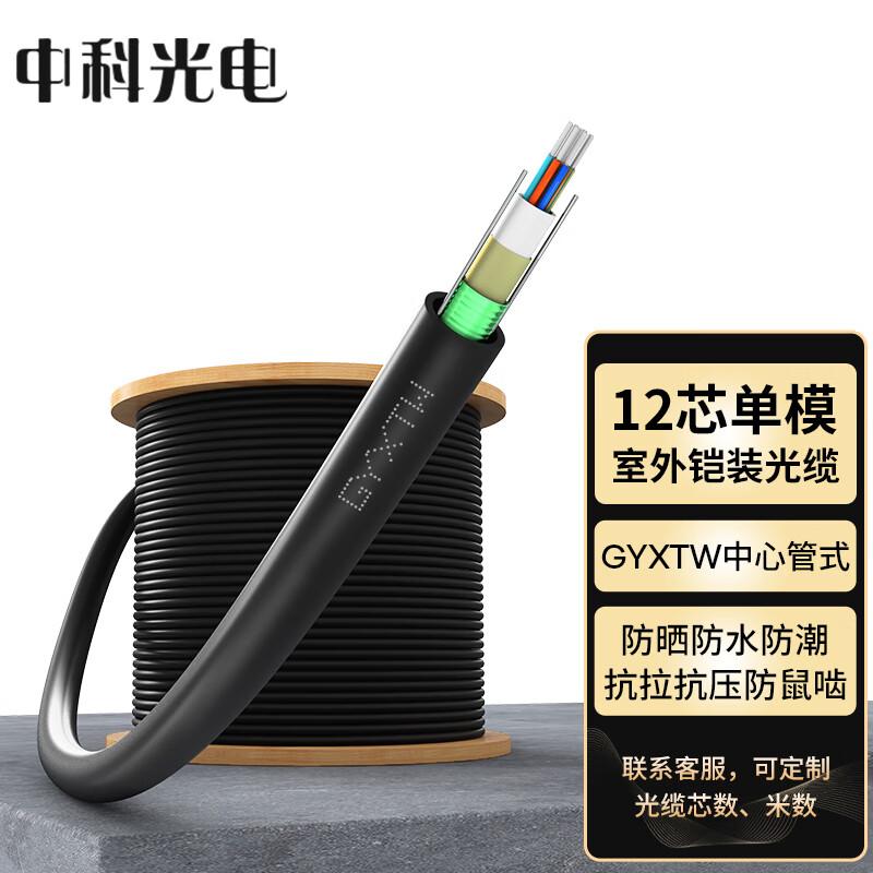 Zhongke Guanguang Outdoor Single-Mode Armored Fiber Optic Cable 12 Core