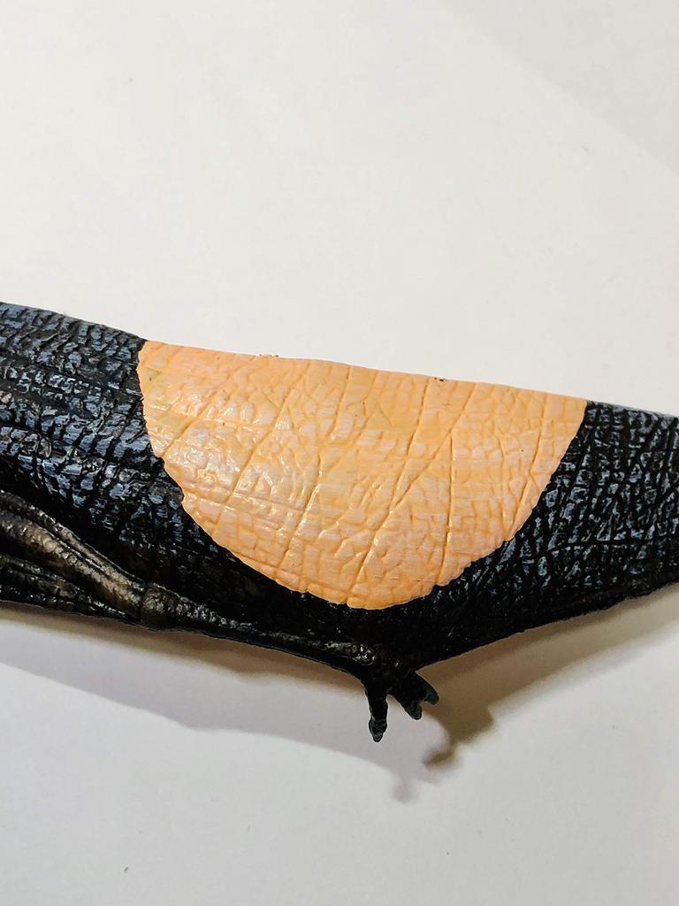 Crop Dinosaur Figure Pteranodon Impressive Size Dinosaur Model with a Length of 22cm (Pteranodon)