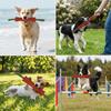 Cowhide Material Dog Bite Stick Sturdy Texture Dog Fetch Toy Canine Training Gear  Interactive Play