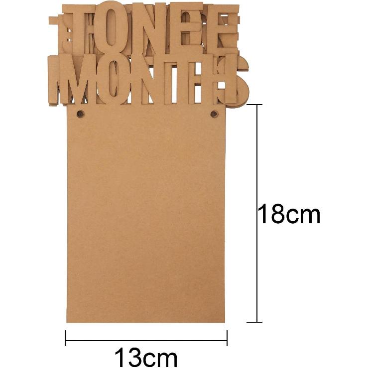 Bememo 1st Birthday Baby Photo Banner for Newborn 12 Month Photo Prop Monthly Milestone Bunting Garland First Birthday Party Decoration