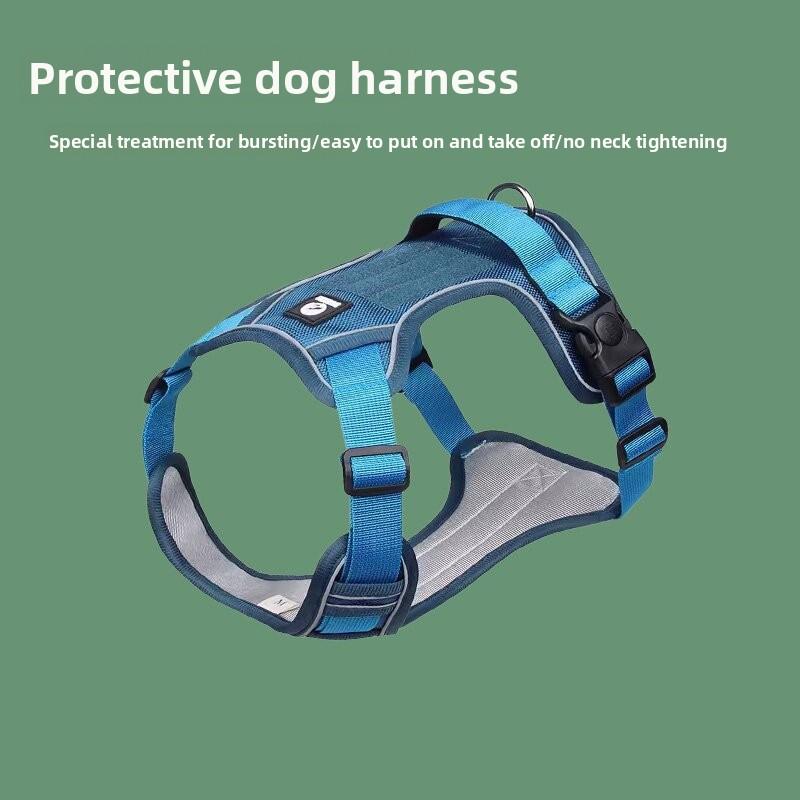 Große Hundeleine, Explosionssicheres Spülweste-Typ Brust- und Rückengeschirr, Mittlere und Große Hundespazierleine, Hundekette