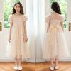 Girl's Dress Summer Bubble Sleeve Mesh Dress 2023 Children's Princess Dress