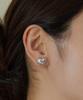 Tatiana (Silver 925) Great Heart Earrings Ec3021