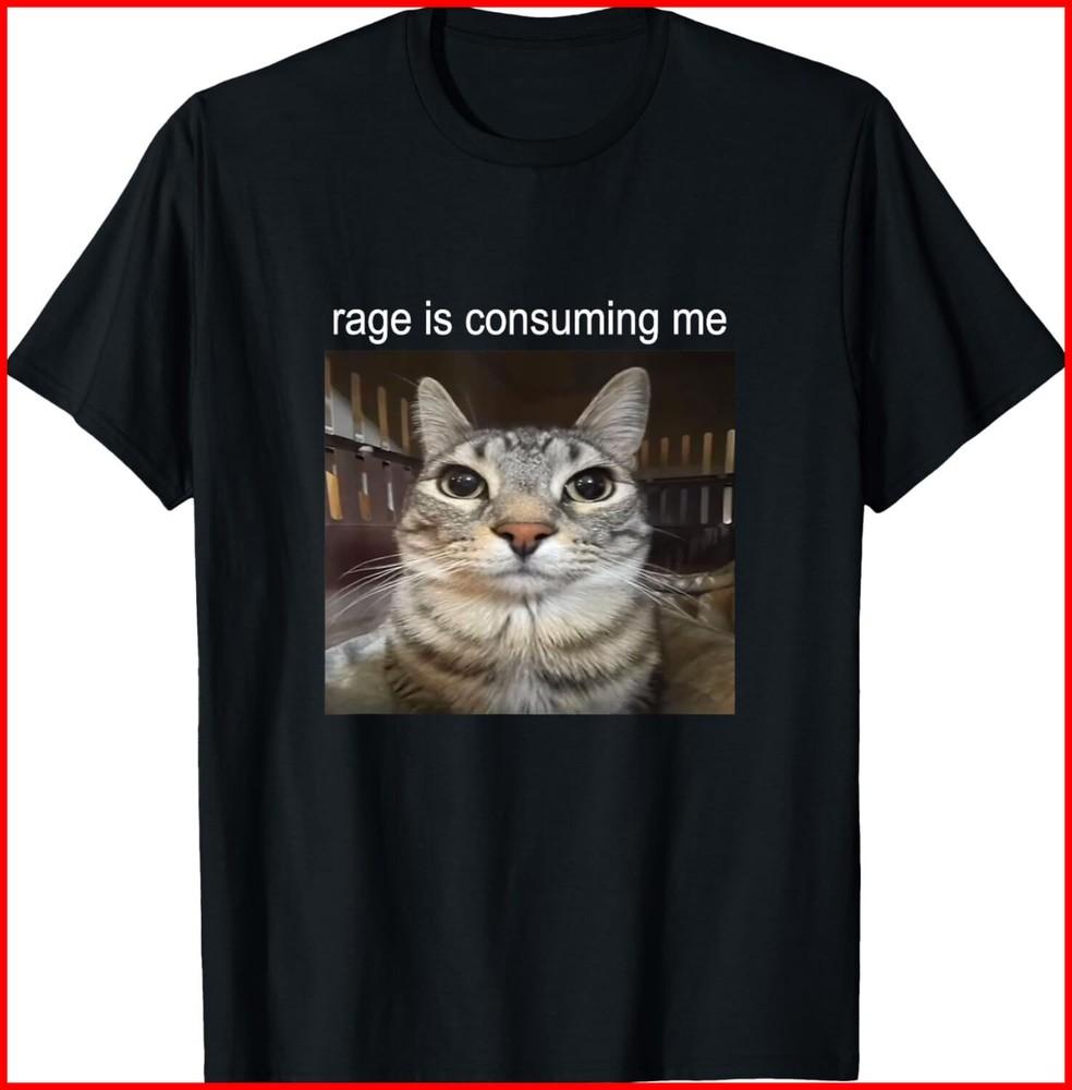 Rage Is Consuming Me Silly Staring Cat Meme black T-Shirt Unisex T-Shirt XXL