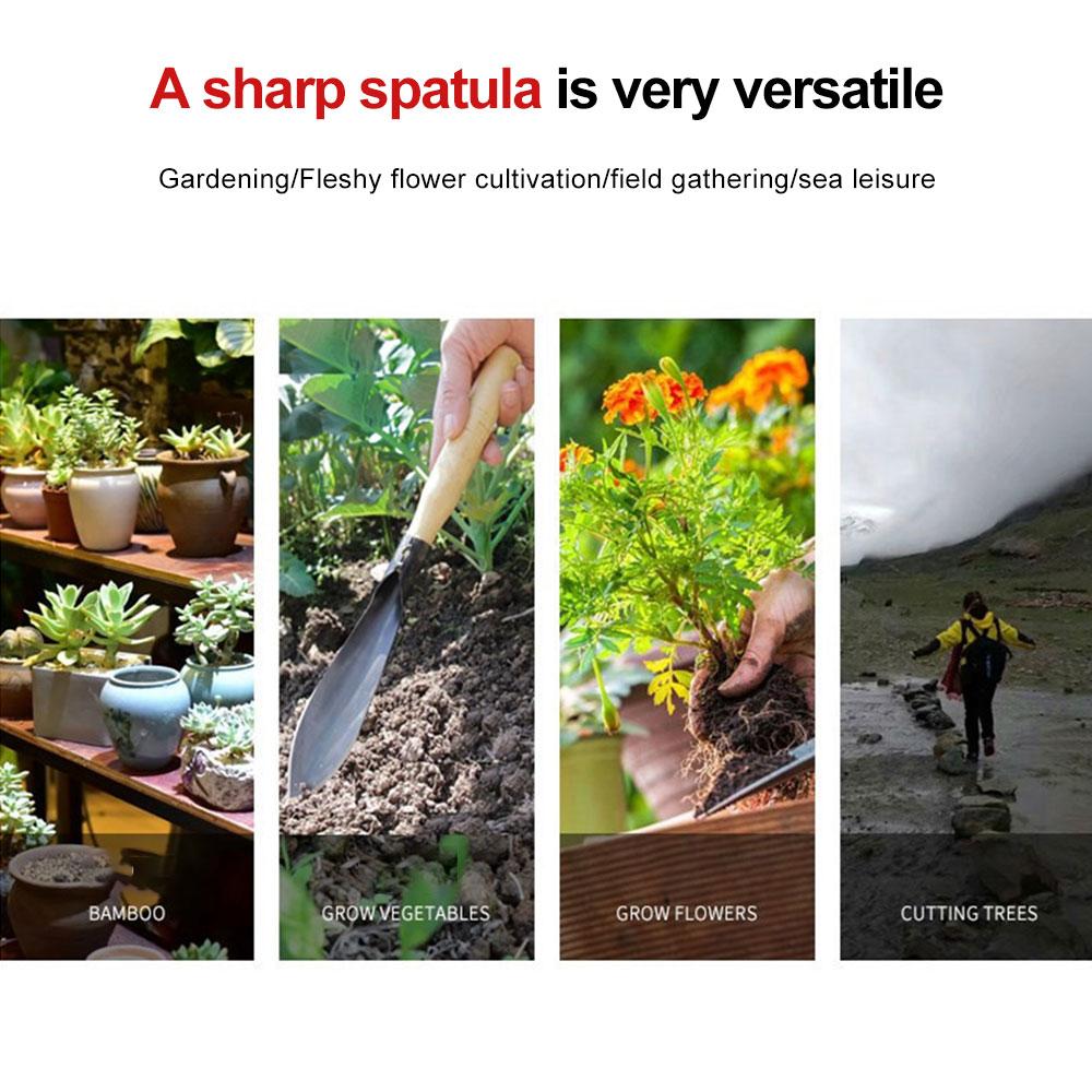 Stainless steel one-piece shovel non-slip small shovel digger gardening planting / field collection / catch the sea leisure