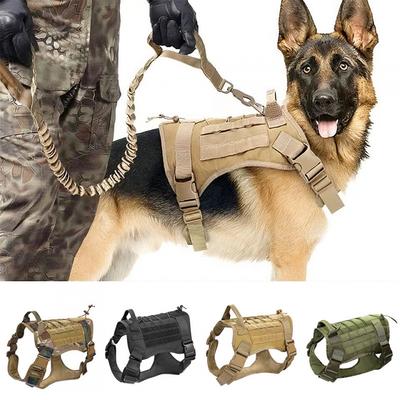 Köpek – Köpek Tasmaları ve Tasma Kayışları