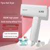 Flyco High Power Foldable Hair Dryer with Negative Ions for Damage-Free Quick Drying