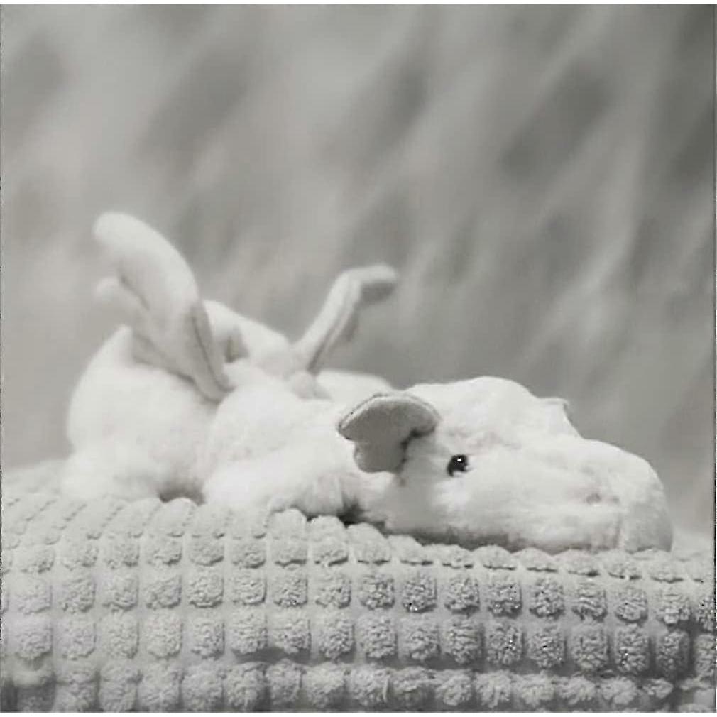 Neues Drachen Plüschtier mit Flügeln, niedliches weiches Drachen Pterodactylus Plüschtier Dinosaurier Plüsch Kissen Puppe