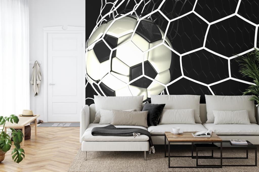 Photomural 3D Soccer Ball In Net Washable Fleece 254x184