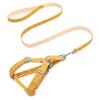 Walking Dog Leash Striped Lattice Traction Rope Anti-bite Chest Strap Pet Supply