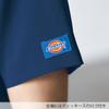 Dickies scrubs