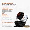 DR. Morepen Shilajit Harz Reiner Himalaya-Extrakt Für Tägliche Wellness-Unterstützung Natürliche Saubere Formel Packung mit 1 15 g