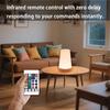 Table Lamp Bedside Light For Bedroom Color Modes Remote Control Touch Dimmable USB Rechargeable Portable Night Lamp