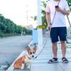 Dog Training Leash Reflective Double Head Adjustable Pet for Small Medium Large Dog Straps Running Free Hands Rope