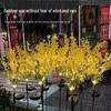 Solar Rapeseed Flower Garden Light for Courtyard, Lawn, Park, and Villa Lighting