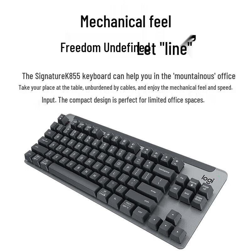 Logitech MK855 Wireless Mechanical Keyboard and Mouse Combo