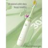 FLYCO Children's Sonic Electric Toothbrush CN plug (adapter included)