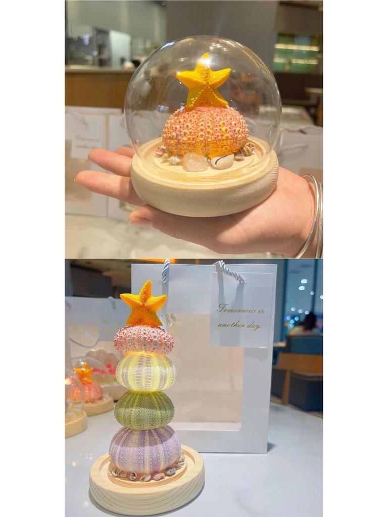Sea Urchin Shell Jellyfish Night Light: Heart-Shaped Ornament for Mother's Day or Birthday