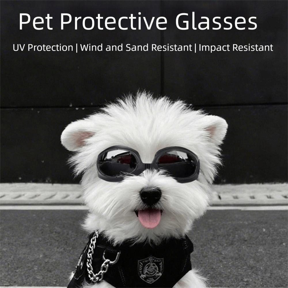 Impact-Resistant Pet Glasses Windproof Design Doggie Goggles Cool Fashion Cat Eyewear  Pet Photos