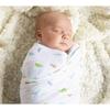 Silly Billyz Silly Billyz Muslin Dinostar Swaddle Wrap 2pk