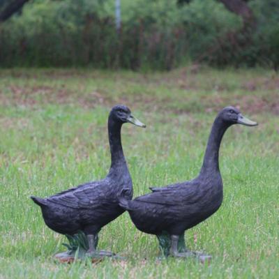 Mallard Resin Ornament for Indoor/Outdoor Garden, Courtyard, or Farm Décor.