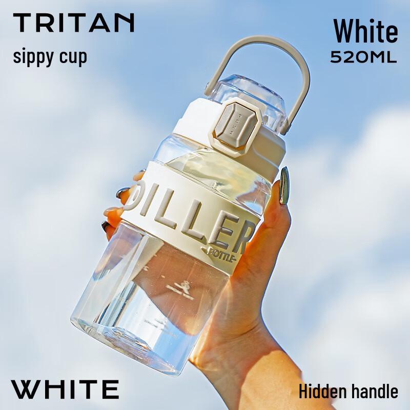 Diller 520ML Insulated Sports Water Bottle with Straw