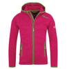 Children's Fleece Jacket for a Girl Trollkids Girls Jondalen Jacket XT Purple/green (221-213)