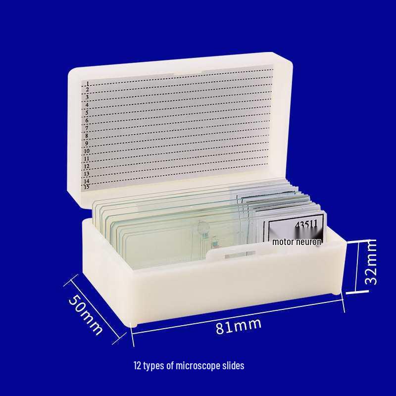 Microscope Specimen Mount: Four Major Human Tissues for Junior/High School - Nerve, Epithelial, Connective, and 'e' Slide