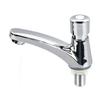 Basin Sink Faucet Push Button Design Water Saving Rugged  Time Delay Faucet for Home Single Cold Push Button Sink Faucet