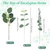 100 Pcs 3 Kinds Mixed Artificial Silver Dollar Eucalyptus Leaves Picks, Faux Eucalyptus Stems Sprays for DIY Bouquets Floral Arrangement Wedding Home
