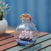 Schiff Wunschflasche Glas Segelboot in Wunschflasche Treibflasche Dekor Schreibtischornament für Zuhause Büro 9x11cm
