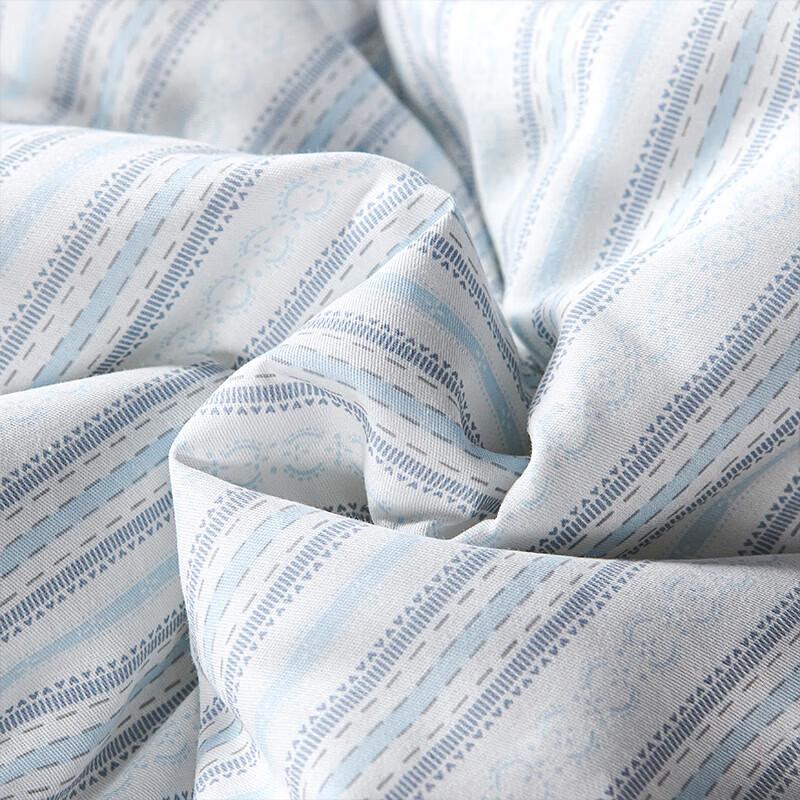 Jin Si Li Antibacterial All-Cotton Winter Quilt