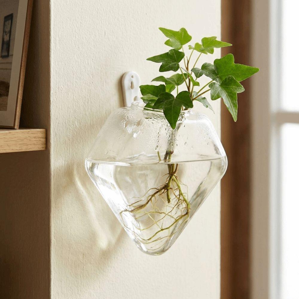 Unregelmäßige Form Hydrokultur-Vase Transparenter Wandmontierter Blumentopf Pflanzenvermehrungs-Glas-Handwerk Pflanzenbehälter
