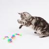 5PCS/Set Cloth Funny Mouse Shape Cat Toy Filled Catmint Cat Toy for Pet Exercise Rainbow Color Cats Running Training Toy